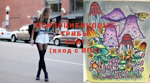 шишки Алзамай