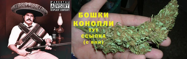 гашик Лабытнанги