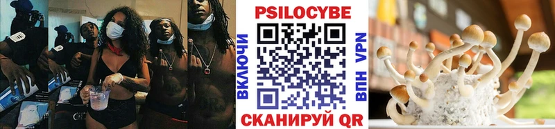 Псилоцибиновые грибы GOLDEN TEACHER  как найти закладки  Новочебоксарск 