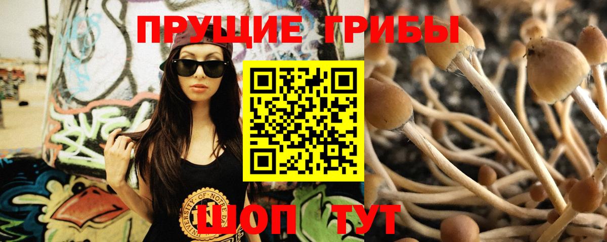 Псилоцибиновые грибы Psilocybine cubensis Новочебоксарск